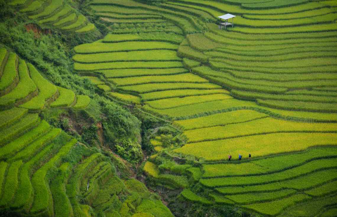 TERRACED LANDSCAPES